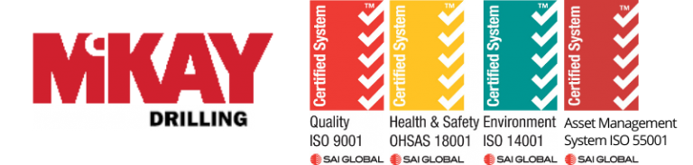 ISO & Logo